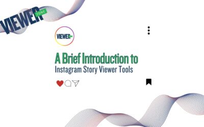 A Brief Introduction to Instagram Story Viewer Tools 